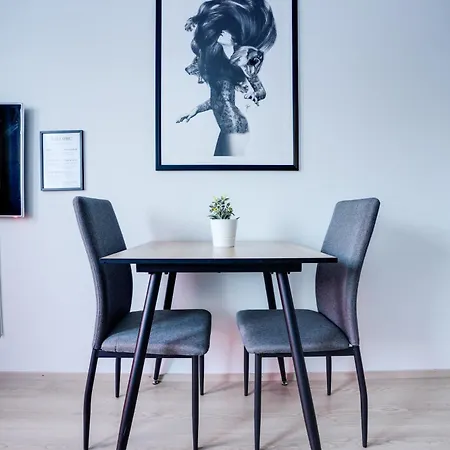 Lapin Loiste 1, Modern Studio, Free Parking And Wifi