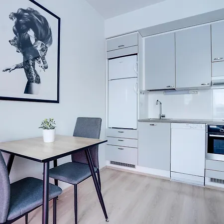 Lapin Loiste 1, Modern Studio, Free Parking And Wifi * Rovaniemi