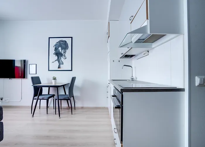 Lapin Loiste 1, Modern Studio, Free Parking And Wifi